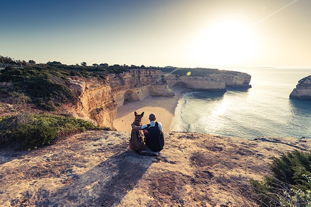 pet travel insurance